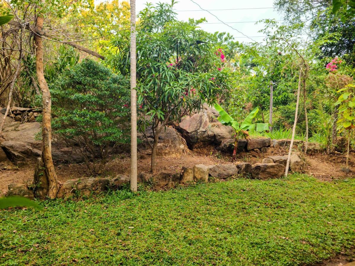 Woodholic Homestay Sigirîya Extérieur photo