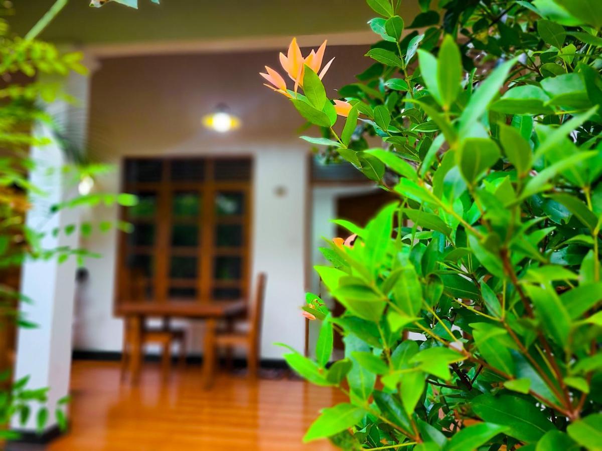 Woodholic Homestay Sigirîya Extérieur photo