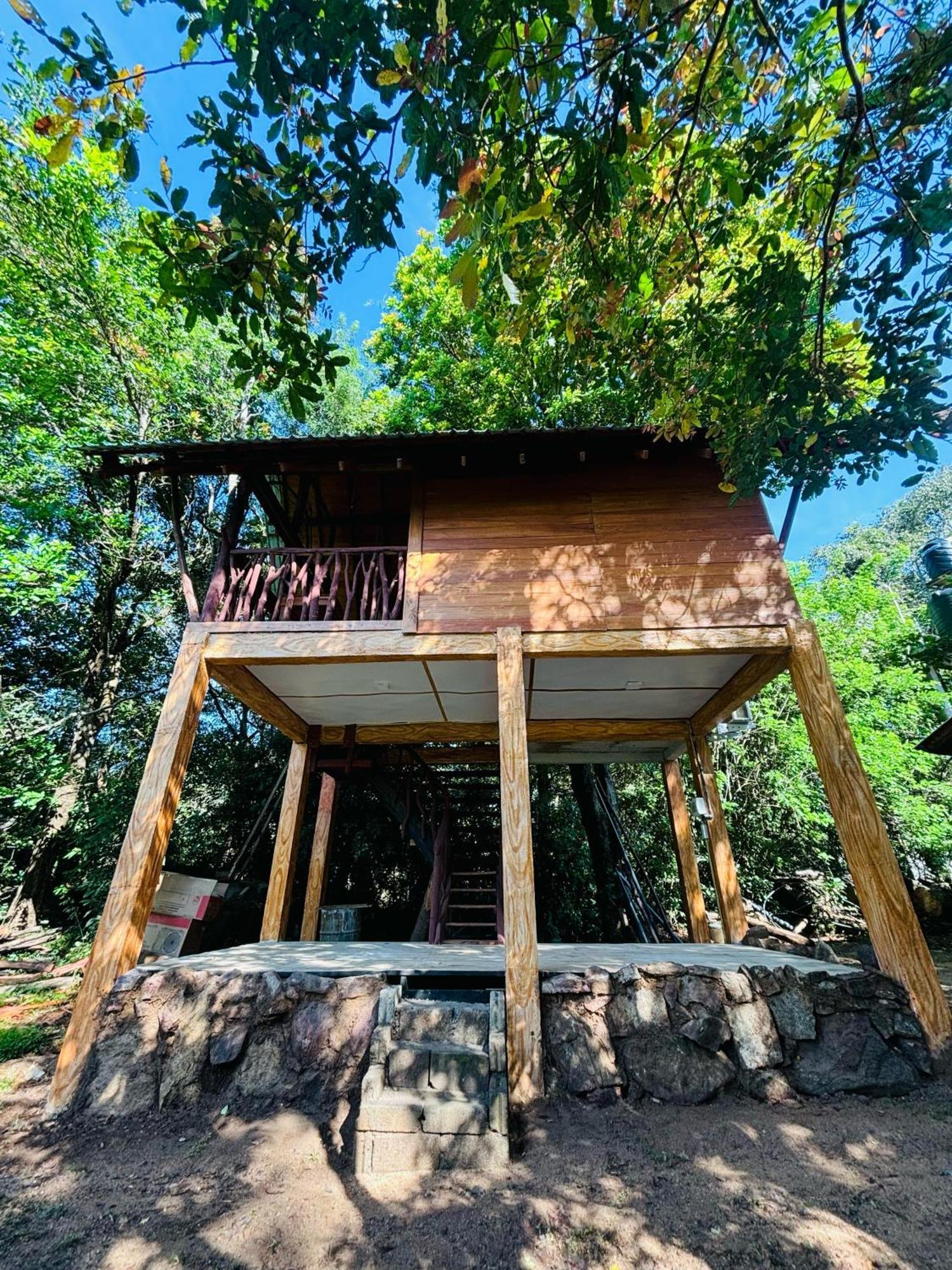 Woodholic Homestay Sigirîya Extérieur photo